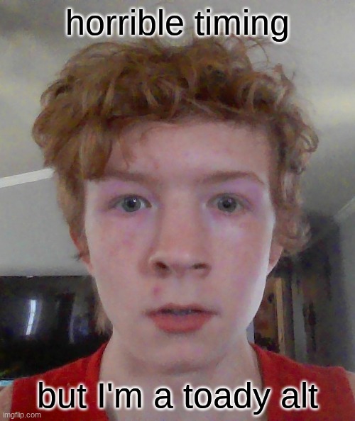 ahh yes, gaslighting. | horrible timing; but I'm a toady alt | image tagged in street rat ptsd | made w/ Imgflip meme maker