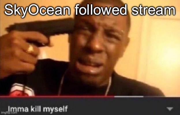Imma kill myself | SkyOcean followed stream | image tagged in imma kill myself | made w/ Imgflip meme maker