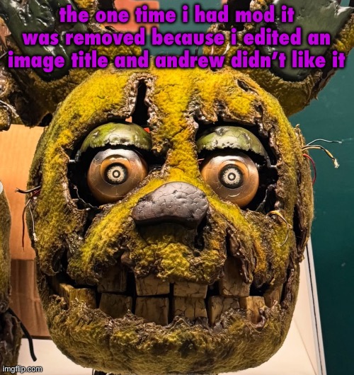 spingletap | the one time i had mod it was removed because i edited an image title and andrew didn’t like it | image tagged in spingletap | made w/ Imgflip meme maker