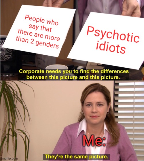 They're The Same Picture Meme | People who say that there are more than 2 genders Psychotic idiots Me: | image tagged in memes,they're the same picture | made w/ Imgflip meme maker