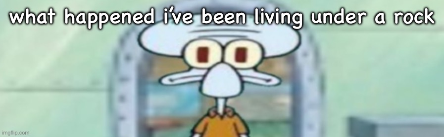 squidward staring | what happened i’ve been living under a rock | image tagged in squidward staring | made w/ Imgflip meme maker
