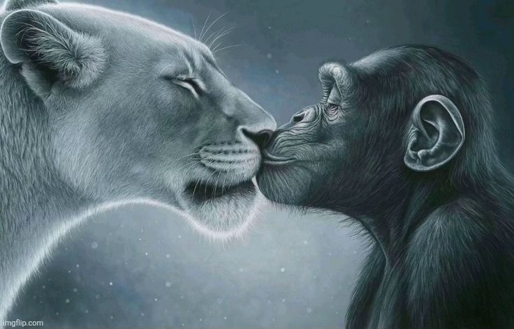 Kiss bait | image tagged in kiss bait | made w/ Imgflip meme maker