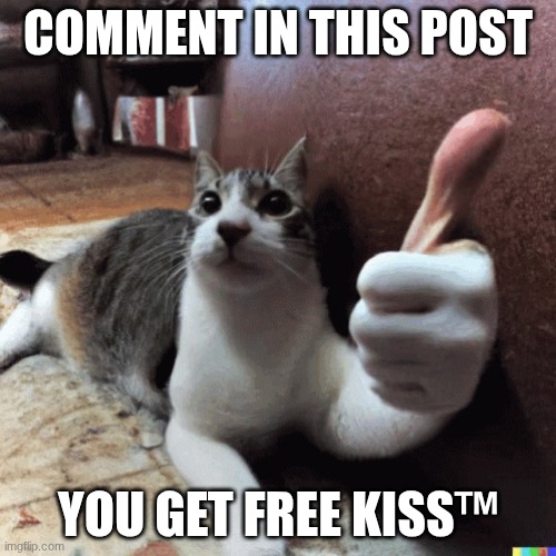 the type will be randomized. | COMMENT IN THIS POST; YOU GET FREE KISS™ | image tagged in cat with a thumbs up | made w/ Imgflip meme maker