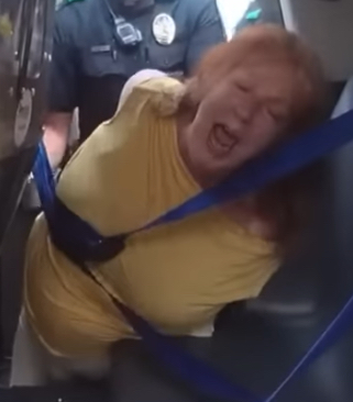 Terre Ann Bluse Blank Meme Template