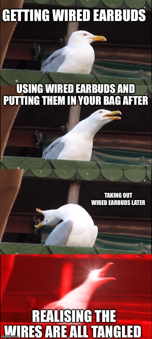 Rage ahhh | GETTING WIRED EARBUDS; USING WIRED EARBUDS AND PUTTING THEM IN YOUR BAG AFTER; TAKING OUT WIRED EARBUDS LATER; REALISING THE WIRES ARE ALL TANGLED | image tagged in memes,inhaling seagull | made w/ Imgflip meme maker