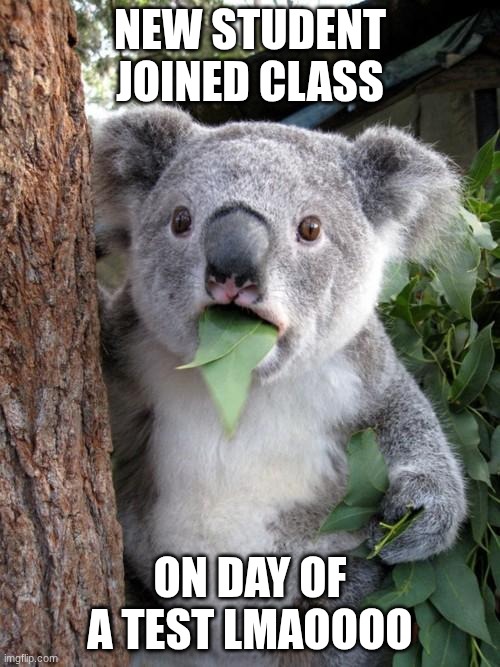 he had 14/20 but THE TIMEING XD | NEW STUDENT JOINED CLASS; ON DAY OF A TEST LMAOOOO | image tagged in memes,surprised koala | made w/ Imgflip meme maker