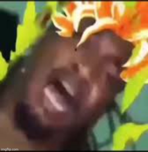 ㅤ | image tagged in ambatukam | made w/ Imgflip meme maker