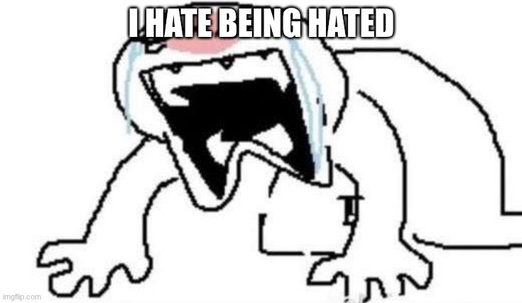 Ugly Crying | I HATE BEING HATED | image tagged in ugly crying | made w/ Imgflip meme maker