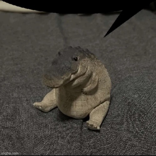 baby alligator speech bubble | image tagged in baby alligator speech bubble | made w/ Imgflip meme maker
