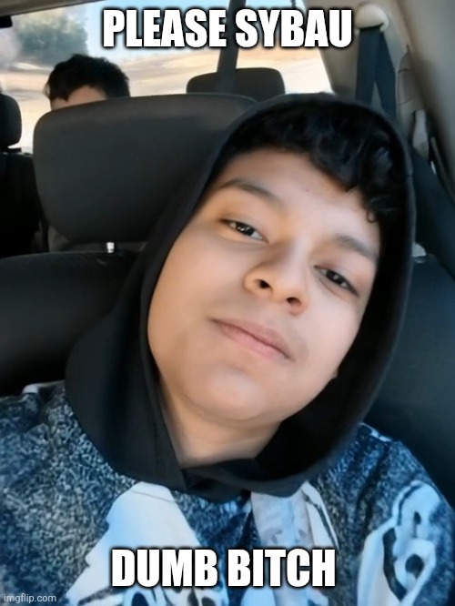 DUMB BITCH | PLEASE SYBAU; DUMB BITCH | image tagged in please sybau | made w/ Imgflip meme maker