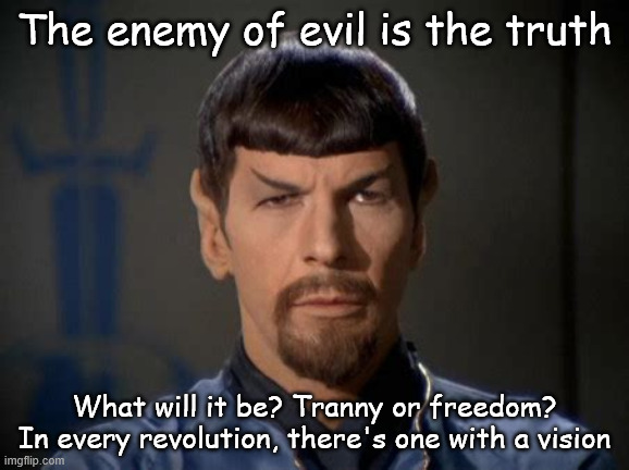 Antiverse | The enemy of evil is the truth; What will it be? Tranny or freedom?
In every revolution, there's one with a vision | image tagged in antiverse,spock,star trek,logical,anti-maga,fascists | made w/ Imgflip meme maker