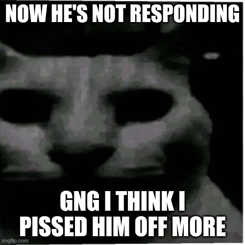 Uncanny cat | NOW HE'S NOT RESPONDING; GNG I THINK I PISSED HIM OFF MORE | image tagged in uncanny cat | made w/ Imgflip meme maker