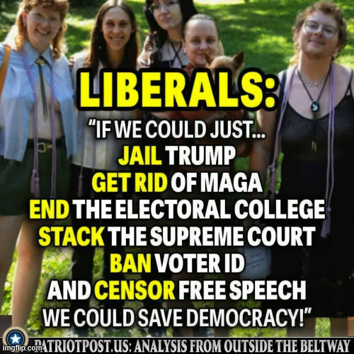 Liberal plan | image tagged in liberal plan | made w/ Imgflip meme maker