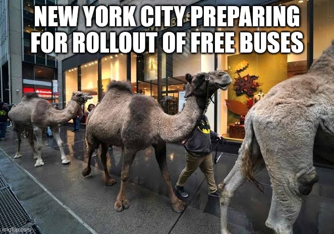 I'll stick with the 'rich pricks' at Uber | NEW YORK CITY PREPARING FOR ROLLOUT OF FREE BUSES | image tagged in memes,new york city,zohran mamdani,democrats | made w/ Imgflip meme maker