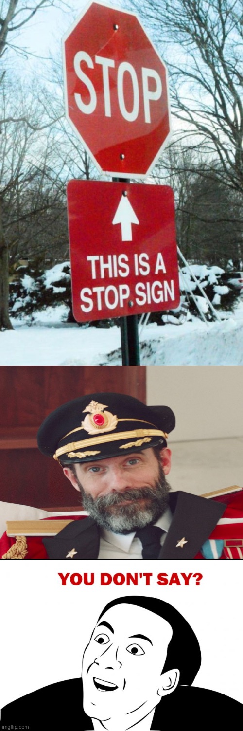 A Stop Sign | image tagged in stop sign,obviously,captain obvious,you dont say,really,funny memes | made w/ Imgflip meme maker
