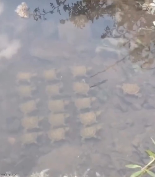 ts tuff (gn chat) | made w/ Imgflip meme maker