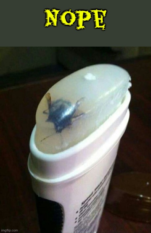 Nope | Nope | image tagged in cursed image,flies,deodorant,nope nope nope,oh hell no,creepy | made w/ Imgflip meme maker