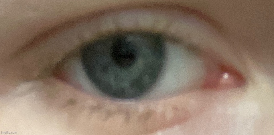 Eyes are so fucking cool man | made w/ Imgflip meme maker