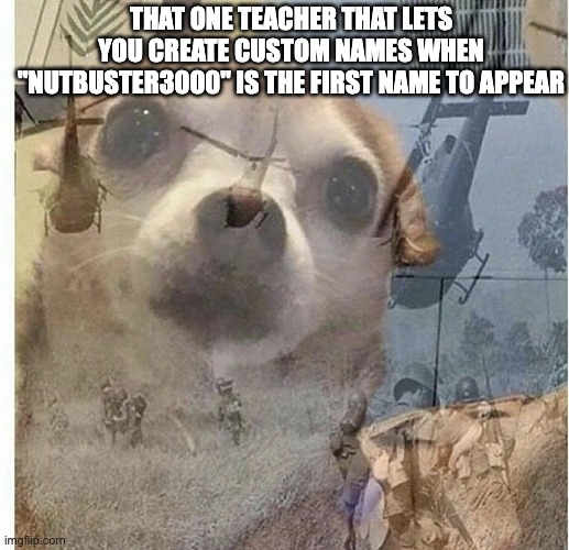 PTSD Chihuahua | THAT ONE TEACHER THAT LETS YOU CREATE CUSTOM NAMES WHEN "NUTBUSTER3000" IS THE FIRST NAME TO APPEAR | image tagged in ptsd chihuahua | made w/ Imgflip meme maker