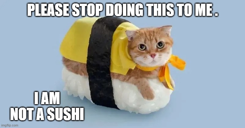 Cat says to stop dressing her up, she is not a sushi.   --  funny  -- | PLEASE STOP DOING THIS TO ME . I AM NOT A SUSHI | image tagged in cat,kittens,funny,humor,sushi,costume | made w/ Imgflip meme maker