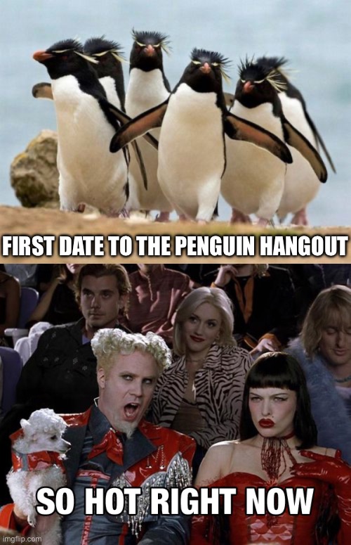I’ll take you to a special place | FIRST DATE TO THE PENGUIN HANGOUT | image tagged in memes,penguin gang,so hot right now,first date | made w/ Imgflip meme maker