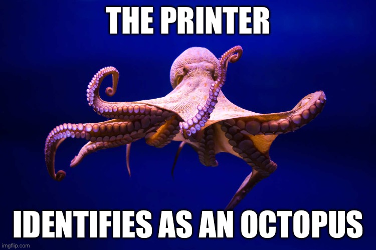 mr octopus | THE PRINTER; IDENTIFIES AS AN OCTOPUS | image tagged in mr octopus | made w/ Imgflip meme maker