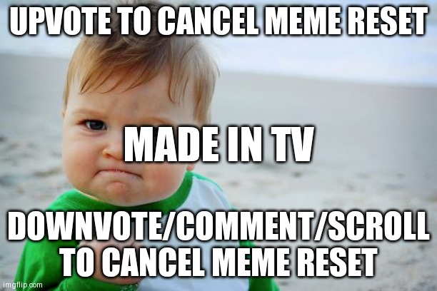 Success Kid Original Meme | UPVOTE TO CANCEL MEME RESET; MADE IN TV; DOWNVOTE/COMMENT/SCROLL TO CANCEL MEME RESET | image tagged in memes,success kid original | made w/ Imgflip meme maker