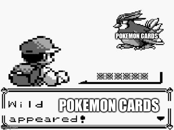 pokemon appears | POKEMON CARDS; POKEMON CARDS | image tagged in pokemon appears | made w/ Imgflip meme maker