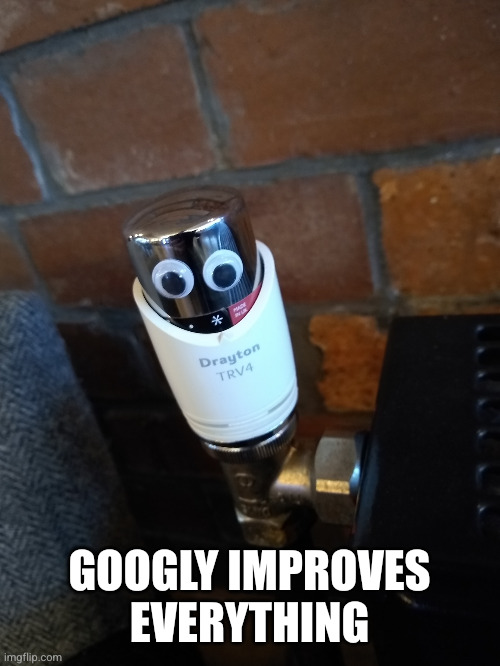 Googly eyes | GOOGLY IMPROVES EVERYTHING | image tagged in googly eyes | made w/ Imgflip meme maker