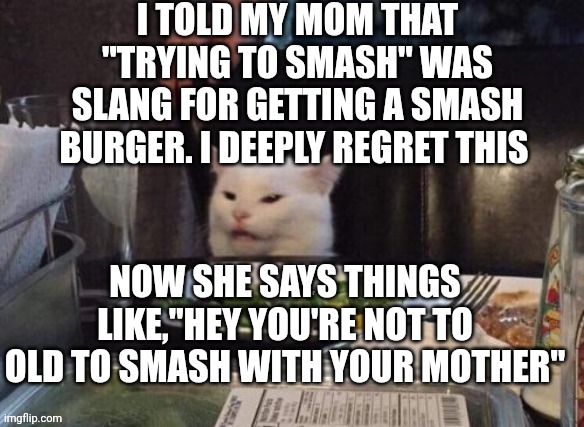 Smudge that darn cat | I TOLD MY MOM THAT "TRYING TO SMASH" WAS SLANG FOR GETTING A SMASH BURGER. I DEEPLY REGRET THIS; NOW SHE SAYS THINGS LIKE,"HEY YOU'RE NOT TO OLD TO SMASH WITH YOUR MOTHER" | image tagged in smudge that darn cat | made w/ Imgflip meme maker