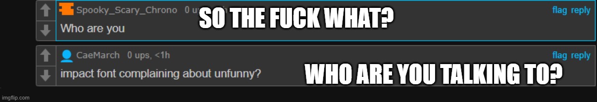 SO THE FUCK WHAT? WHO ARE YOU TALKING TO? | image tagged in msmg,who is bro talking to | made w/ Imgflip meme maker