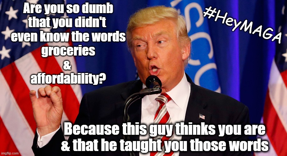 Hey MAGA, who thinks you are dumb? | Are you so dumb
that you didn't 
even know the words
groceries
& 
affordability? #HeyMAGA; Because this guy thinks you are
& that he taught you those words | image tagged in maga,trump,donald trump is an idiot,economy,education | made w/ Imgflip meme maker