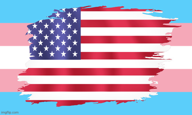 Trans Flag | image tagged in trans flag | made w/ Imgflip meme maker