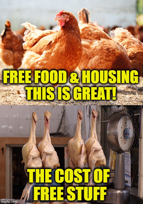 The cost of free stuff | FREE FOOD & HOUSING
THIS IS GREAT! THE COST OF 
FREE STUFF | image tagged in free | made w/ Imgflip meme maker