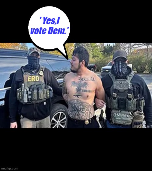 ' Yes,I vote Dem.' | made w/ Imgflip meme maker