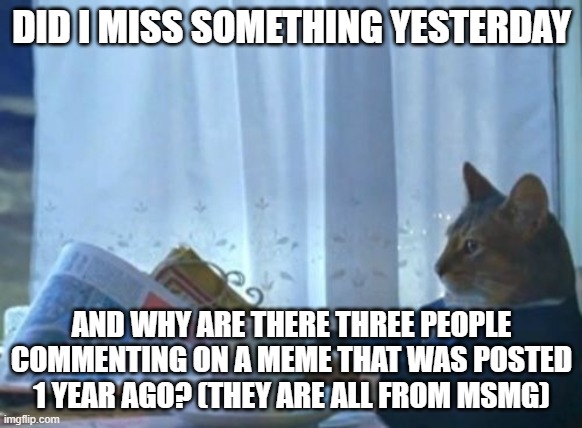 ? | DID I MISS SOMETHING YESTERDAY; AND WHY ARE THERE THREE PEOPLE COMMENTING ON A MEME THAT WAS POSTED 1 YEAR AGO? (THEY ARE ALL FROM MSMG) | image tagged in memes,i should buy a boat cat | made w/ Imgflip meme maker