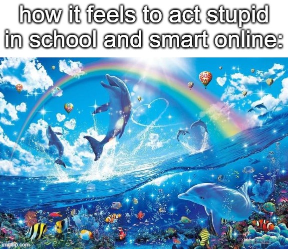 Happy dolphin rainbow | how it feels to act stupid in school and smart online: | image tagged in happy dolphin rainbow | made w/ Imgflip meme maker