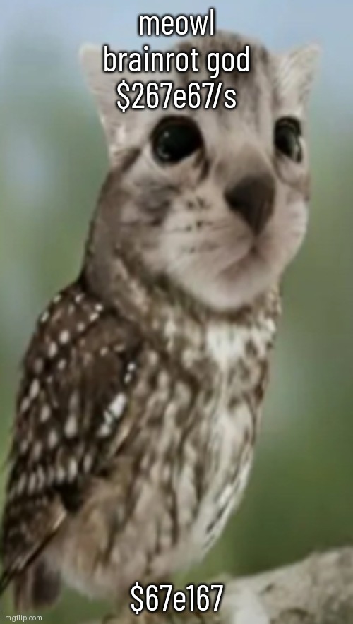 meowl | meowl
brainrot god
$267e67/s; $67e167 | image tagged in meowl | made w/ Imgflip meme maker
