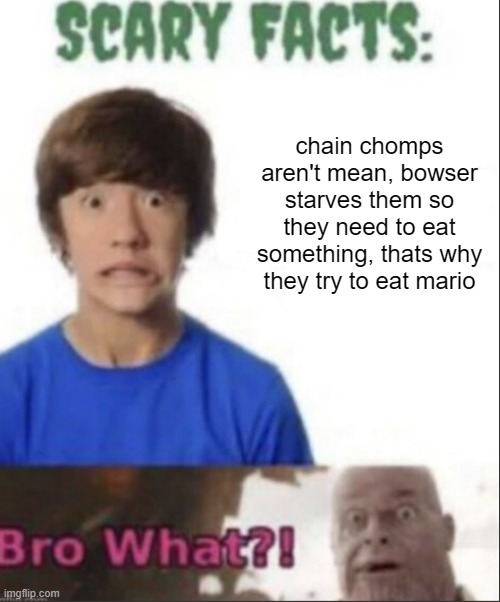 Chain Chomps | chain chomps aren't mean, bowser starves them so they need to eat something, thats why they try to eat mario | image tagged in scary facts,chain chomps,bowser,dark theory,mario | made w/ Imgflip meme maker
