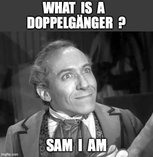 Sam I Am | WHAT  IS  A  
DOPPELGÄNGER  ? SAM  I  AM | image tagged in ugly twins | made w/ Imgflip meme maker