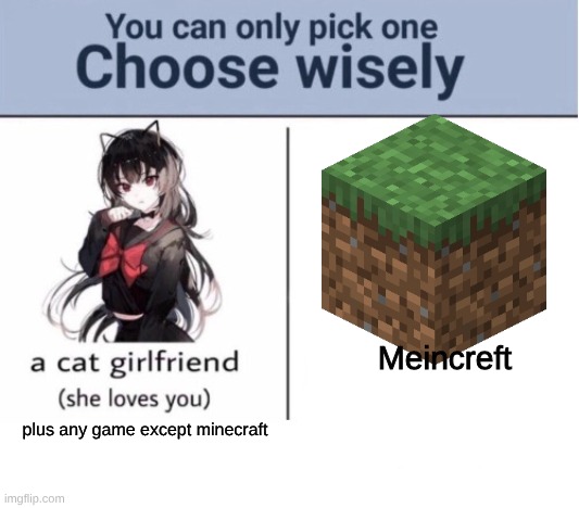 Meincreft plus any game except minecraft | image tagged in choose wisely | made w/ Imgflip meme maker
