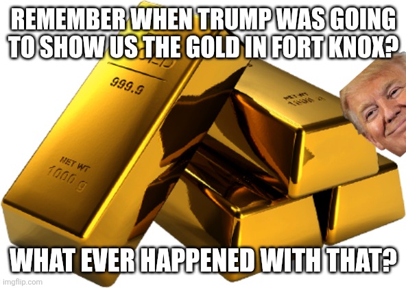 Where is our gold? | REMEMBER WHEN TRUMP WAS GOING TO SHOW US THE GOLD IN FORT KNOX? WHAT EVER HAPPENED WITH THAT? | image tagged in donald trump,trump,maga,nevertrump,conservative,trump supporter | made w/ Imgflip meme maker