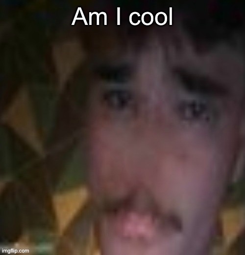 Sname | Am I cool | image tagged in sname | made w/ Imgflip meme maker