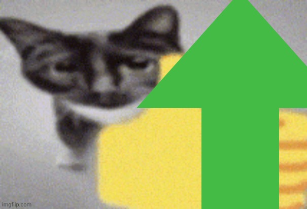 thumbs up cat | image tagged in thumbs up cat | made w/ Imgflip meme maker