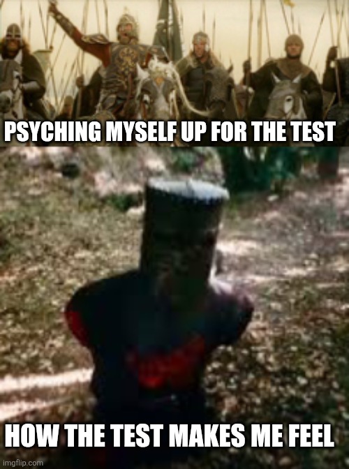 Freaking tests | PSYCHING MYSELF UP FOR THE TEST; HOW THE TEST MAKES ME FEEL | image tagged in rohirrim death,the black knight,tests,school | made w/ Imgflip meme maker