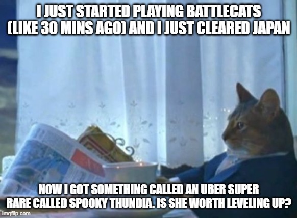 cat | I JUST STARTED PLAYING BATTLECATS (LIKE 30 MINS AGO) AND I JUST CLEARED JAPAN; NOW I GOT SOMETHING CALLED AN UBER SUPER RARE CALLED SPOOKY THUNDIA. IS SHE WORTH LEVELING UP? | image tagged in memes,i should buy a boat cat | made w/ Imgflip meme maker