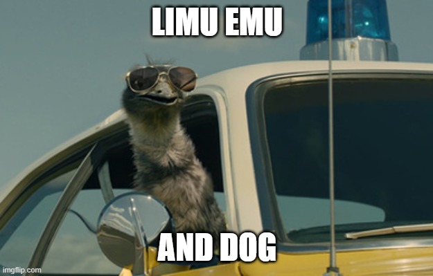 LIMU EMU AND DOG | image tagged in limu emu | made w/ Imgflip meme maker