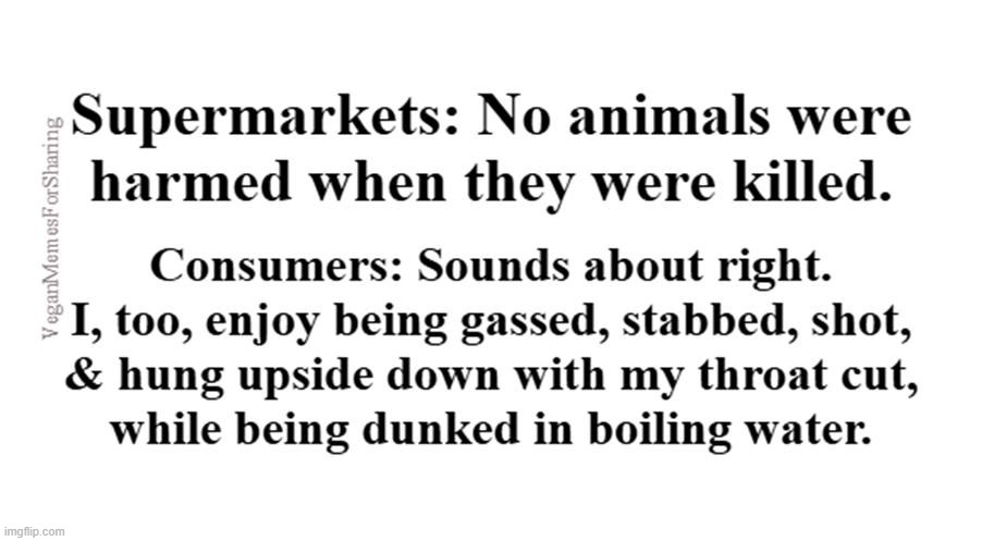 There's No Such Thing  As Humane Slaughter | image tagged in vegan,veganism,bacon,chicken,burger,steak | made w/ Imgflip meme maker