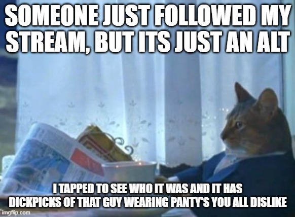im currently puking | SOMEONE JUST FOLLOWED MY STREAM, BUT ITS JUST AN ALT; I TAPPED TO SEE WHO IT WAS AND IT HAS DICKPICKS OF THAT GUY WEARING PANTY'S YOU ALL DISLIKE | image tagged in memes,i should buy a boat cat | made w/ Imgflip meme maker