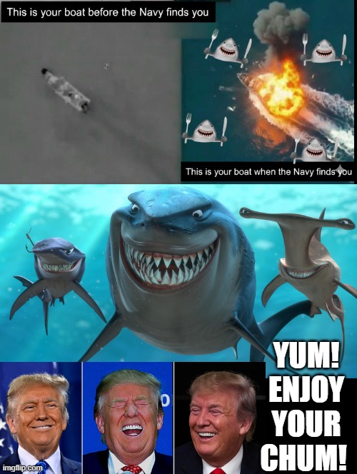 Yum enjoy your chum! | YUM! ENJOY YOUR CHUM! | image tagged in shark week | made w/ Imgflip meme maker